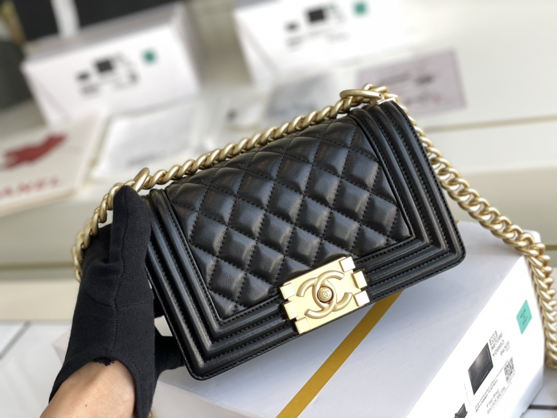 Chanel Leboy Series Bags